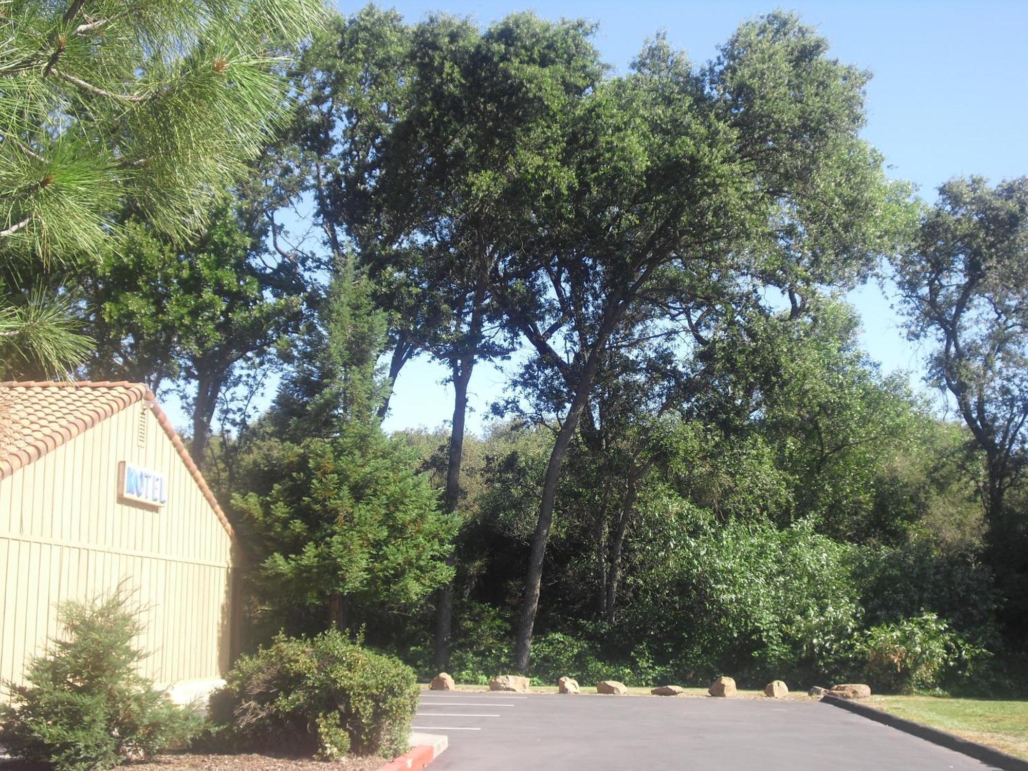 Creekside Kelseyville